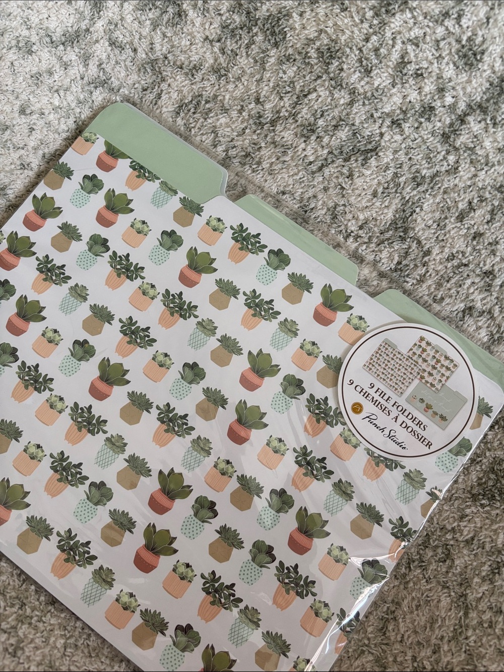 Punch Studio Designer Mint Green Succulent Cactus File Folders Set of 9 NWT